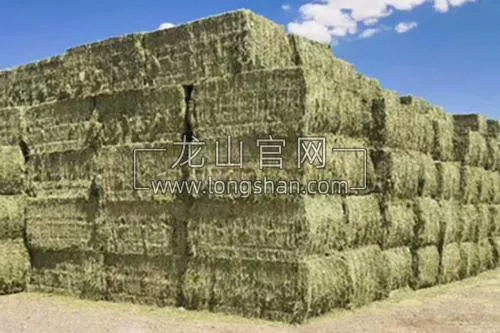 切段后的大方捆干草