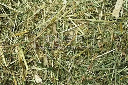 松散草或揉丝后干草