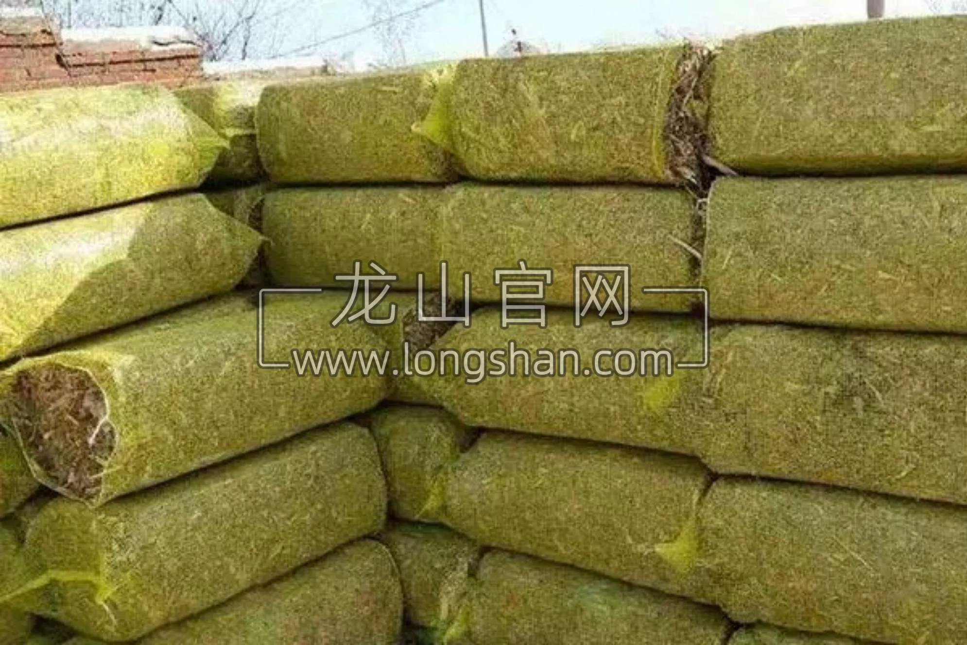 网袋