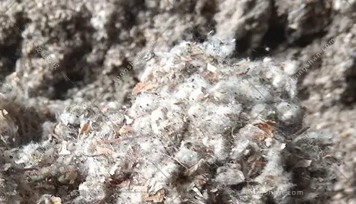 棉渣